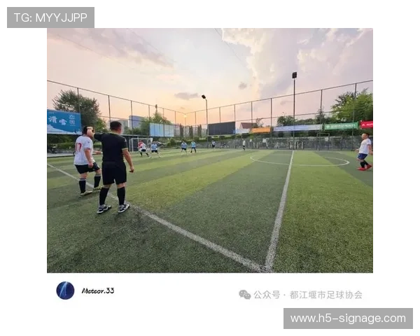上海足球队在杯赛积分榜上以60分稳居第一名展现强劲实力