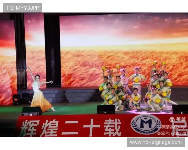 上海排球队的辉煌征程与冠军赛背后的奋斗故事