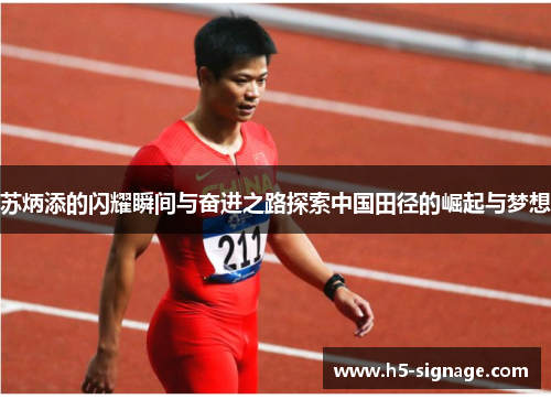 苏炳添的闪耀瞬间与奋进之路探索中国田径的崛起与梦想
